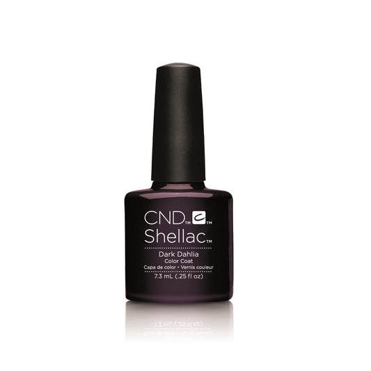 Shellac - Dark Dahlia