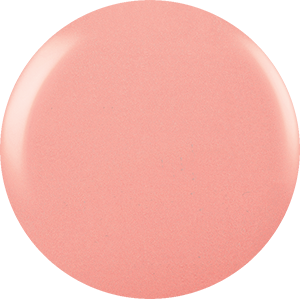 Shellac - Bare Chemise