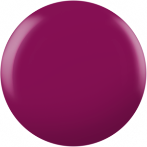 Shellac - Dreamcatcher*